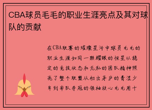 CBA球员毛毛的职业生涯亮点及其对球队的贡献
